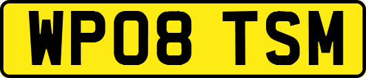 WP08TSM