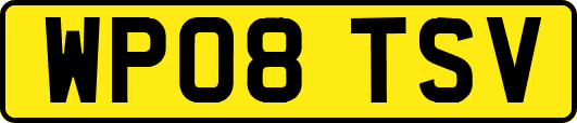 WP08TSV
