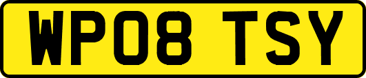 WP08TSY