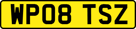 WP08TSZ