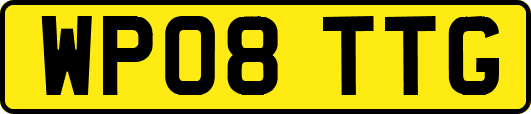WP08TTG
