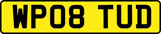 WP08TUD