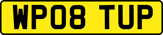 WP08TUP