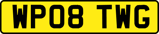 WP08TWG