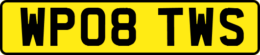 WP08TWS