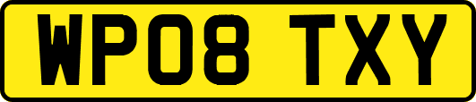 WP08TXY