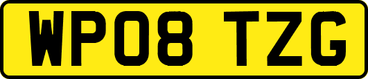WP08TZG