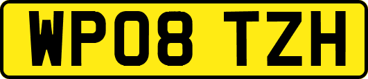 WP08TZH
