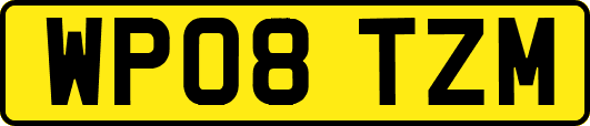 WP08TZM