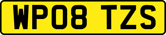 WP08TZS