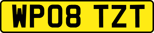 WP08TZT