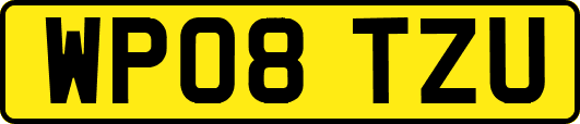 WP08TZU