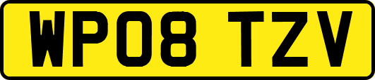 WP08TZV