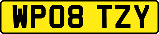 WP08TZY