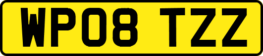 WP08TZZ