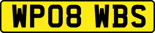 WP08WBS