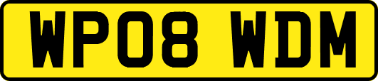 WP08WDM