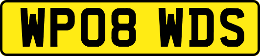 WP08WDS