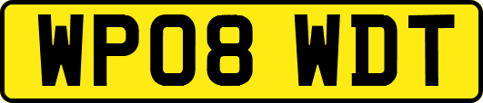 WP08WDT