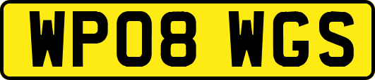 WP08WGS