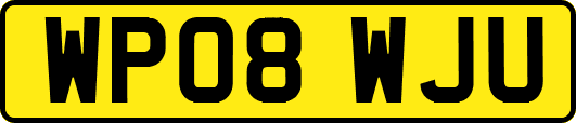 WP08WJU