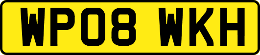 WP08WKH