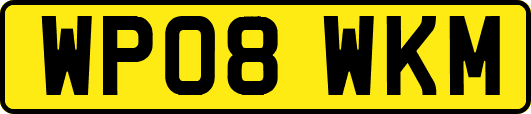 WP08WKM