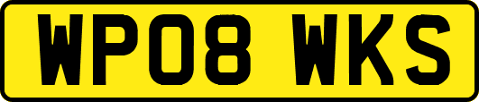 WP08WKS