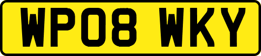 WP08WKY