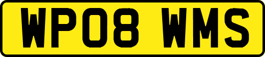 WP08WMS