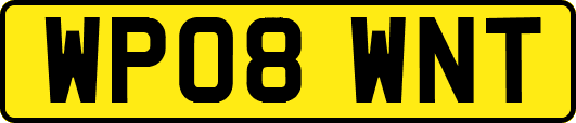 WP08WNT