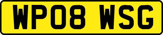 WP08WSG