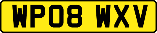 WP08WXV
