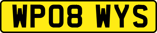 WP08WYS
