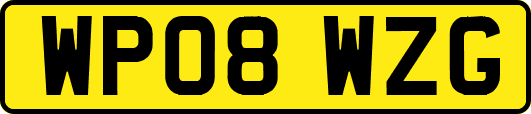 WP08WZG