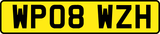 WP08WZH