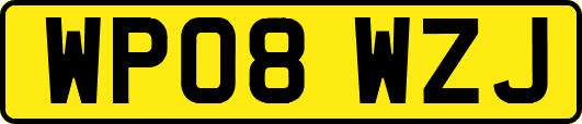 WP08WZJ