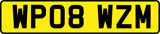 WP08WZM