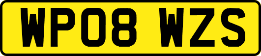 WP08WZS