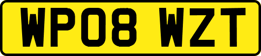 WP08WZT