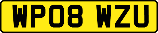 WP08WZU