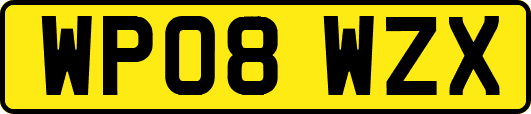 WP08WZX