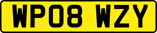 WP08WZY