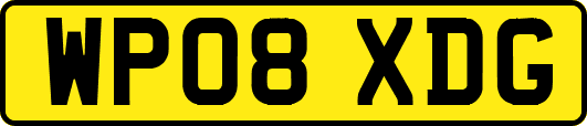 WP08XDG