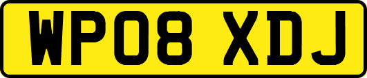 WP08XDJ