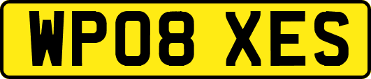 WP08XES