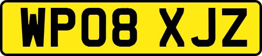 WP08XJZ