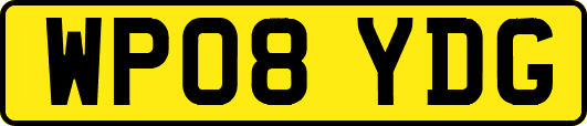 WP08YDG