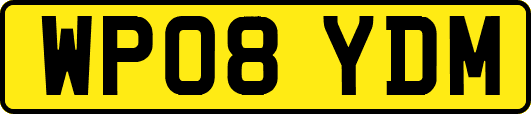 WP08YDM