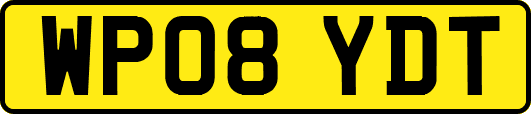WP08YDT